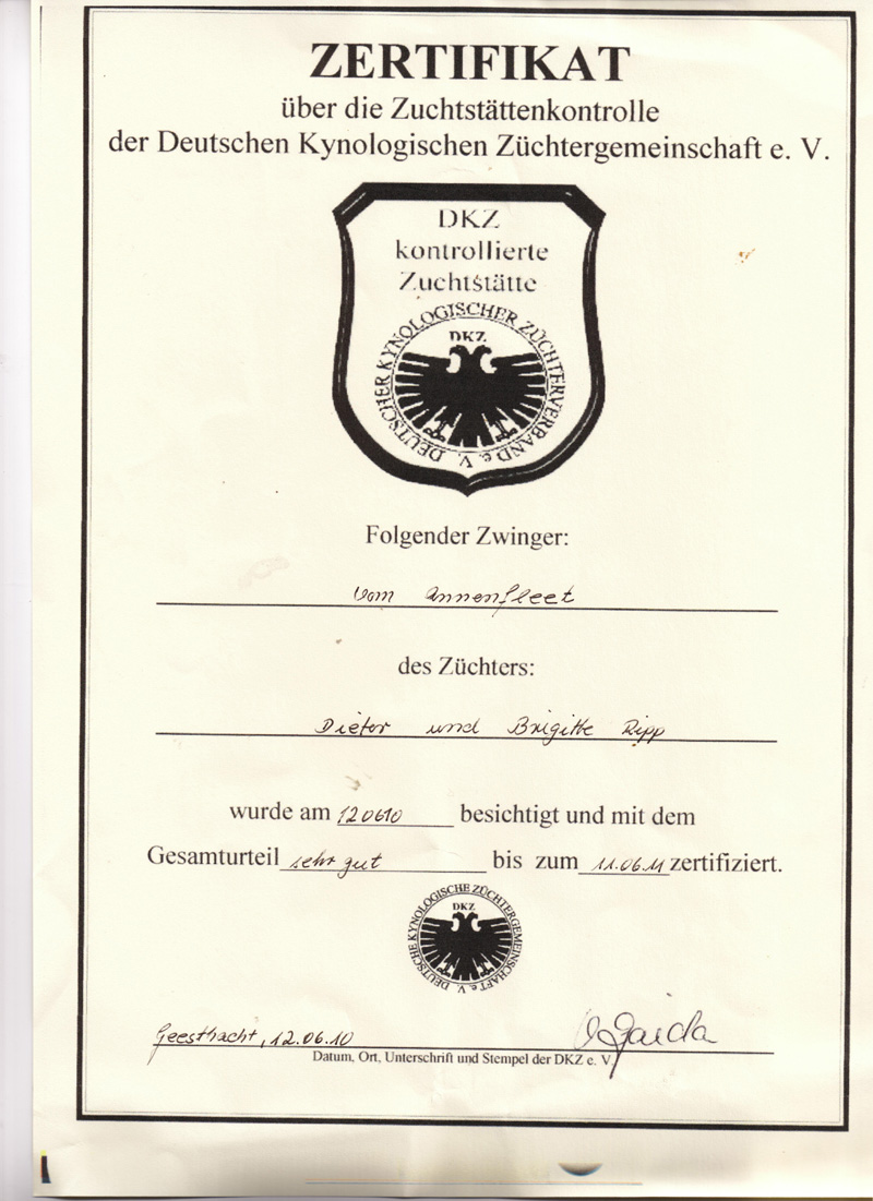 Zertifikat der Kynologischen Z&uuml;chtergemeinschaft e.V.